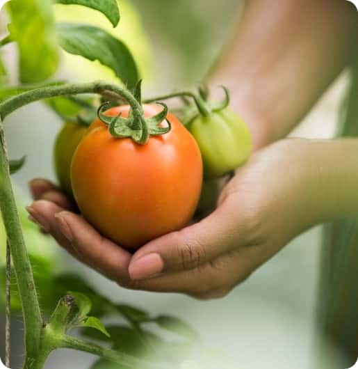 智能数据，洞悉全局 - 博鱼
